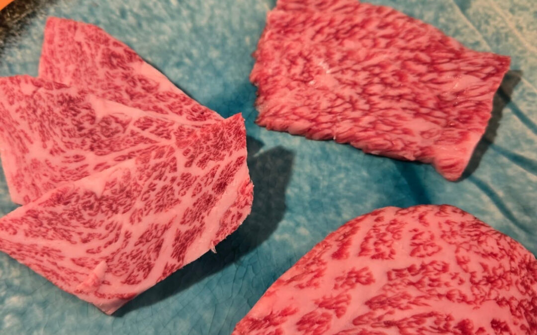 本日のオススメ❗
